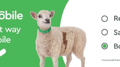 cox store blue diamond Unleash the Power of Translation