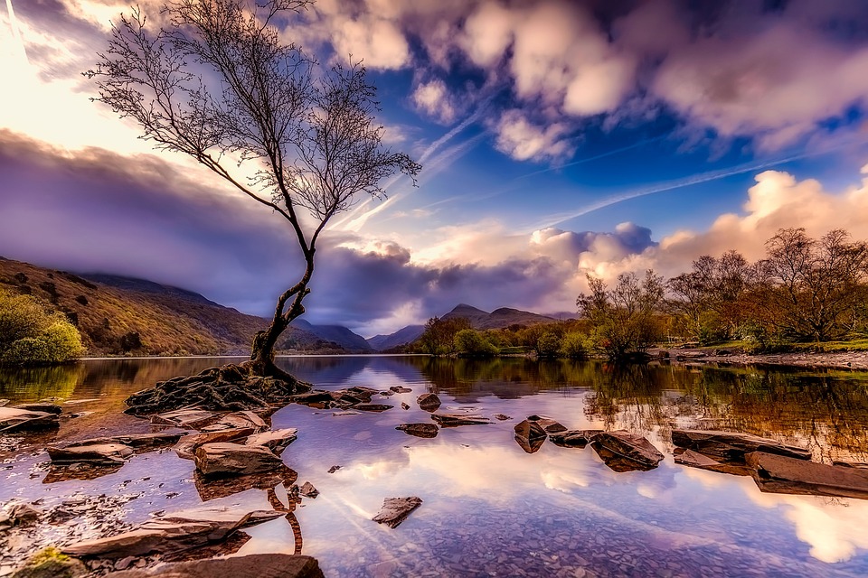 Rental Properties and Real Estate in Ripley, QLD 4306 (+3 locations) Pg ...