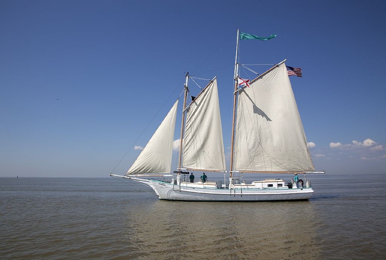 Wood, traditional classic boats photos Norfolk Broads | intheboatshed.net